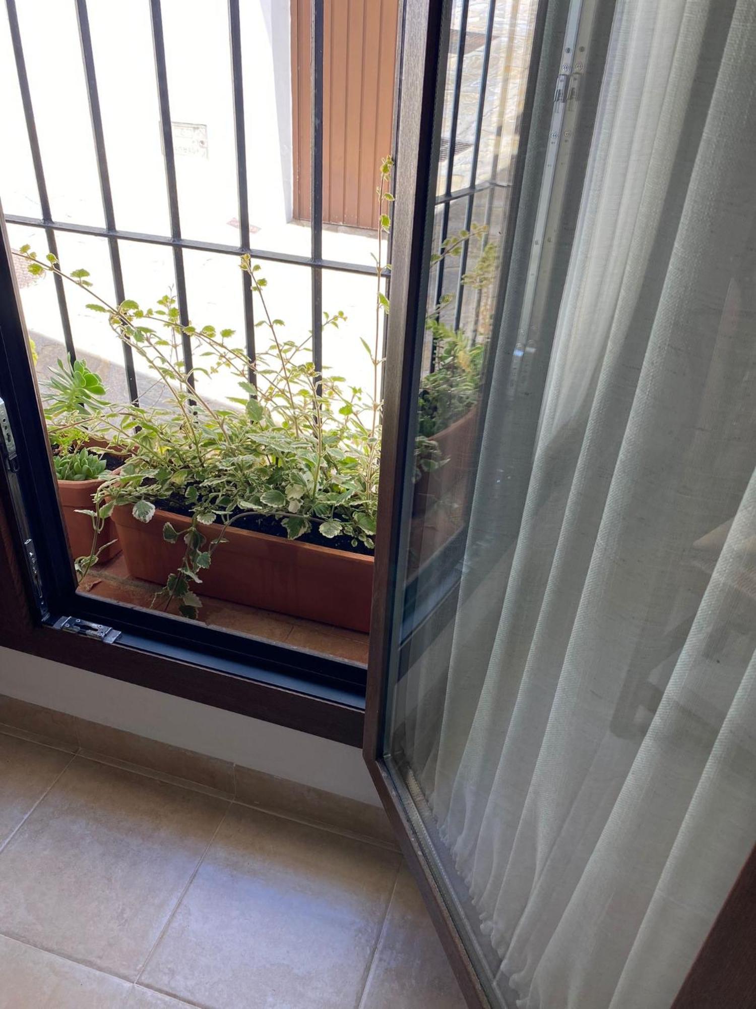 Apartamento El Endrinal Grazalema Exterior foto